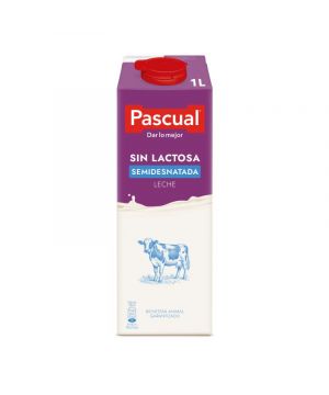 Leche Pascual Semidesn.sin Lactosa Brik Litro