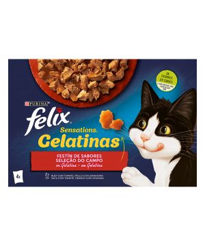 Alimento Felix Sensation Seleccion Carne Pack 4X85 Grs