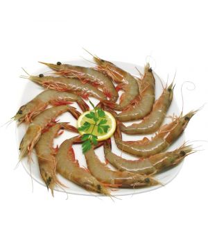 Langostino Nº1 20/30, Kilo    .