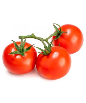 Tomate Rama, Kilo