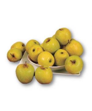 Manzana Golden 1ª, Kilo