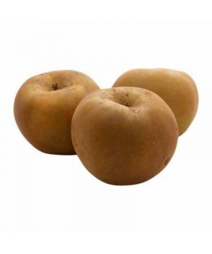 Manzana Reineta Canada Gris, Kilo