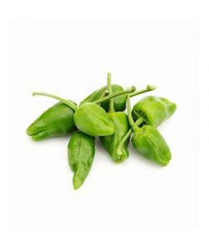 Pimiento Tipo Padron, Kilo