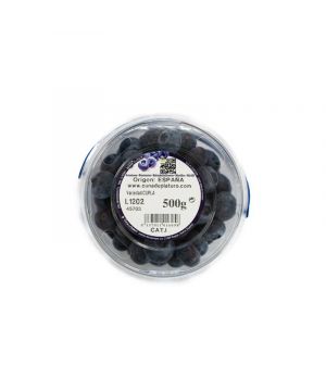 Arandanos Cubo 500 Grs Und