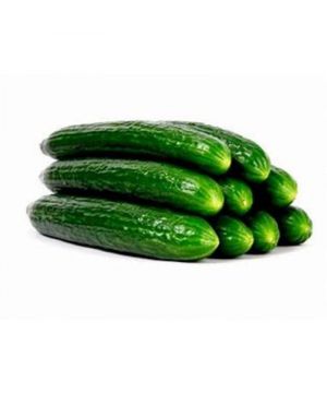 Pepino Holandes, Unidad