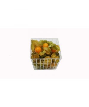 Physalis Bandeja 100 Grs