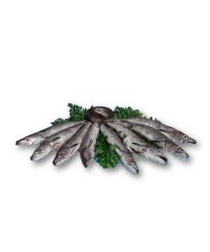 Pescadilla Del Cantabrico 300-500 Grs/Paz.,Kg.