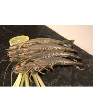 Langostino Tigre 20/30 Pzas/Kg, Kilo