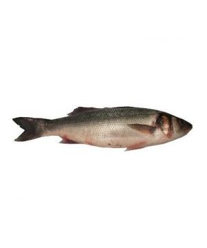 Lubina Crianza 1-1,8 Kg/Pza, Kilo